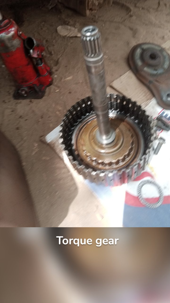 Torque gear 