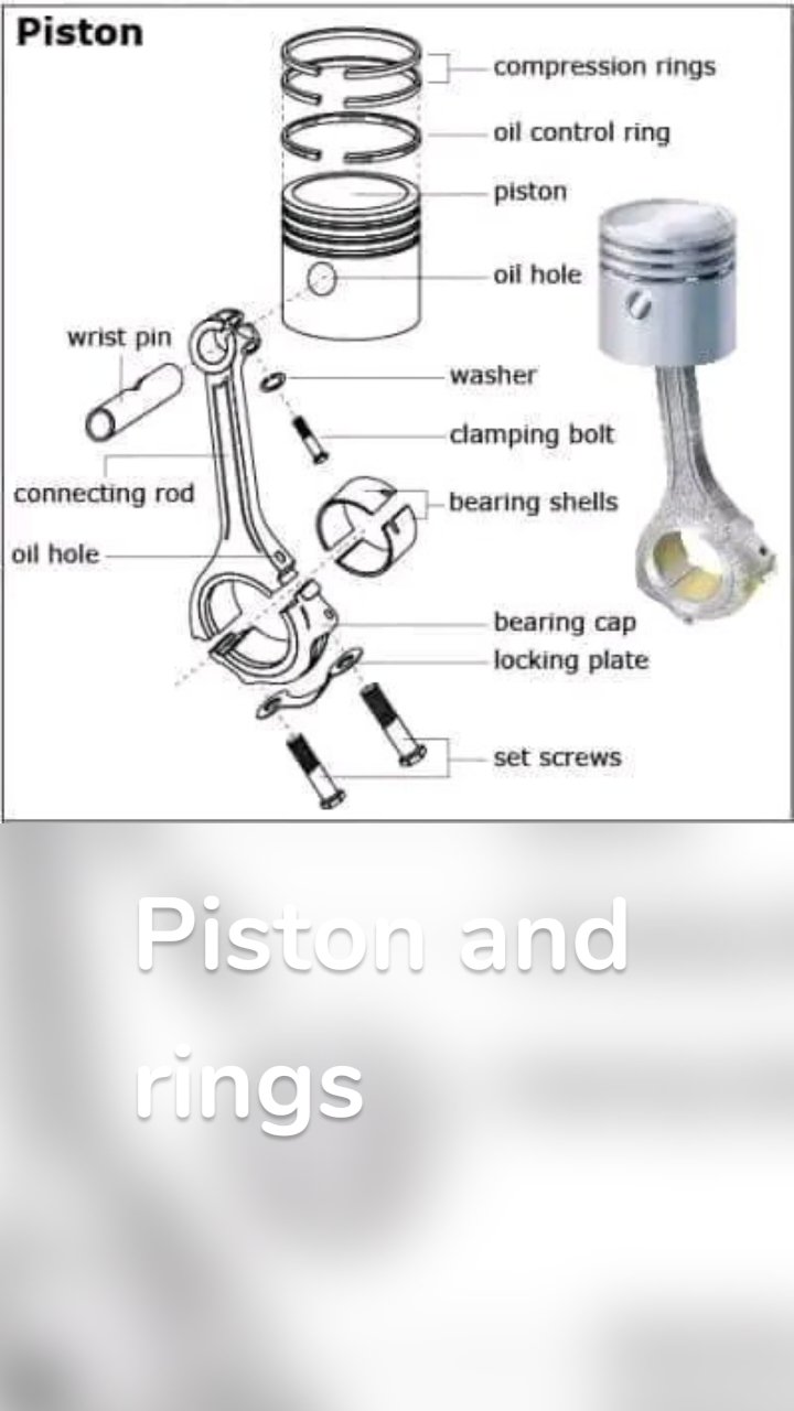 Piston and rings